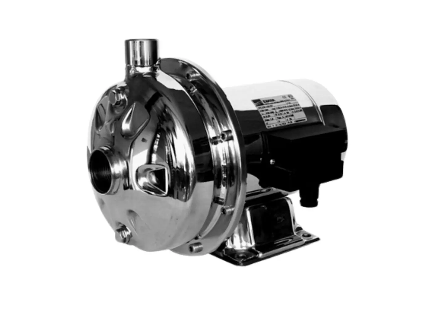 Máy Bơm Ly Tâm Trục Ngang Ebara CD Inox 304 Chính Hãng - Ảnh 2