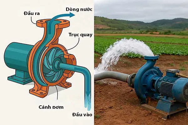 Lỗi thường gặp ở máy bơm nước