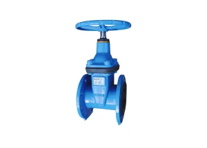 Van Cổng Đệm Đàn Hồi Tecofi PN10/16 gang dẻo GGG50 EN 558-1