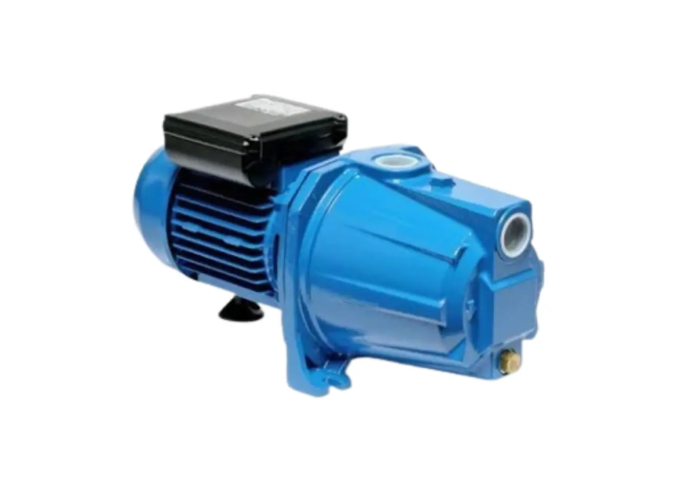 Máy Bơm Tự Mồi Ebara AGA/AGC Gang Đúc Chính Hãng Giá Tốt - Ảnh 2