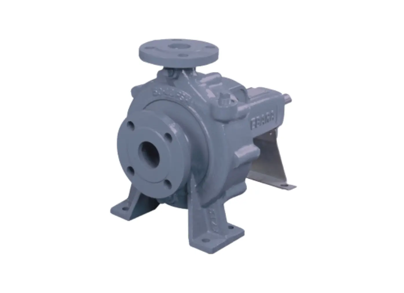 Máy Bơm Ly Tâm Trục Ngang Ebara FSA 16 Bar PCCC HVAC - Ảnh 2