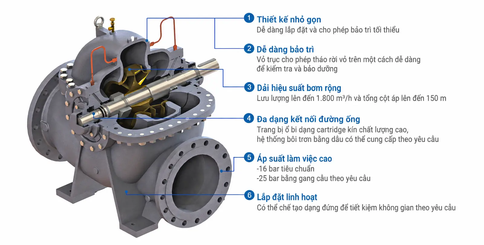 Mặt cắt kỹ thuật bơm ly tâm 2 cửa hút Ebara CSA/CNA với thiết kế thân bơm tách đôi, bảo trì dễ dàng, lưu lượng lớn, áp suất đến 25 bar và hiệu suất cao
